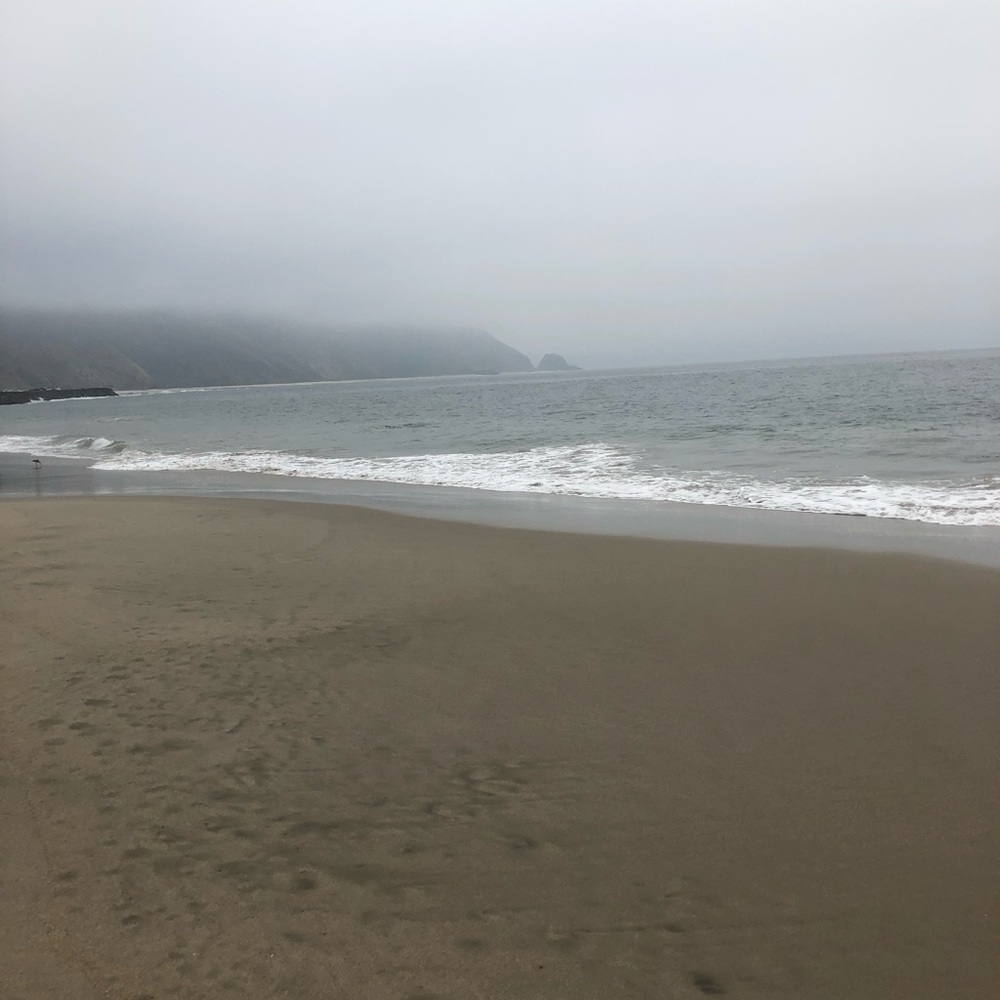 Meet your Posher, Eileen